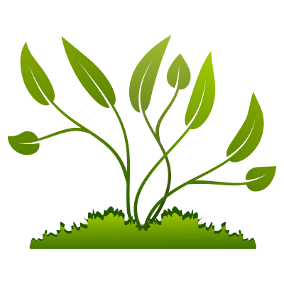 Plante tabara-la-munte